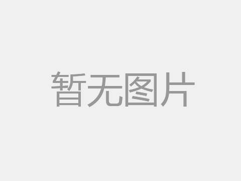 lel气体检测仪